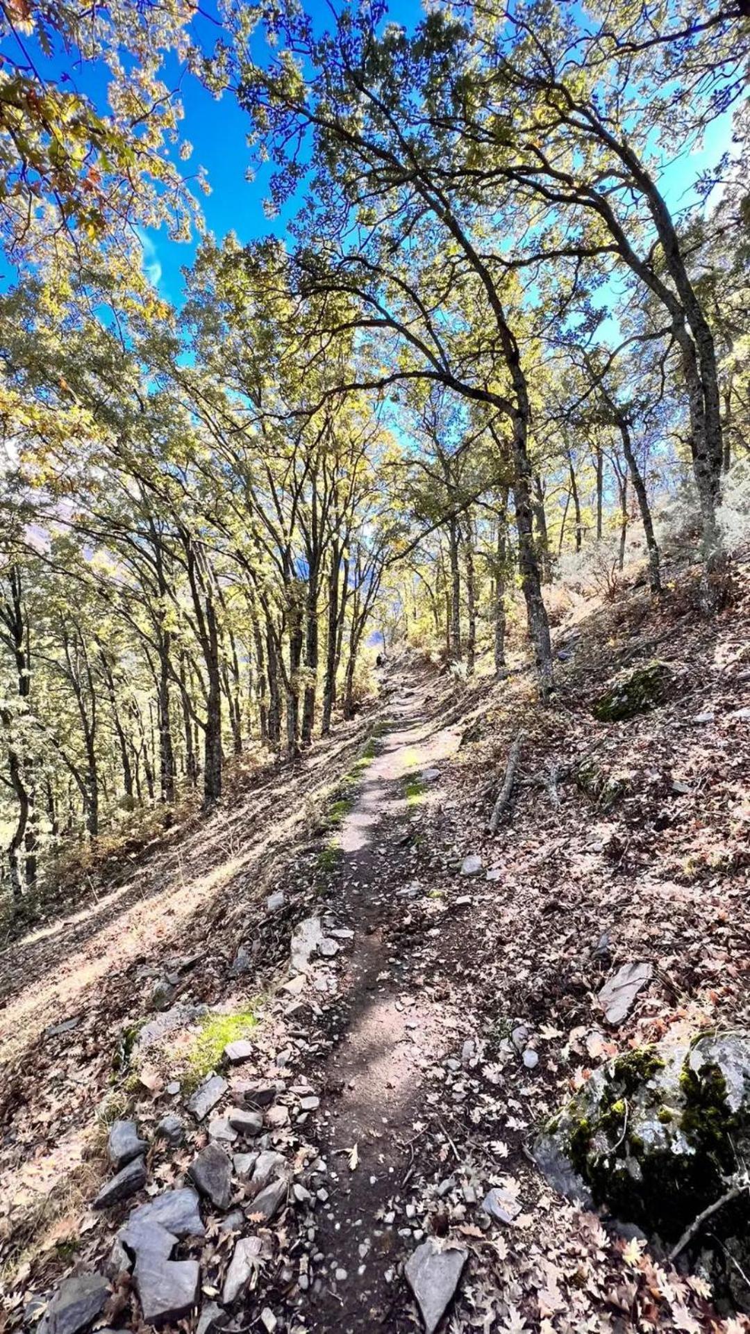 Casa A La Vera De La Sierra Guejar Sierra Exterior foto