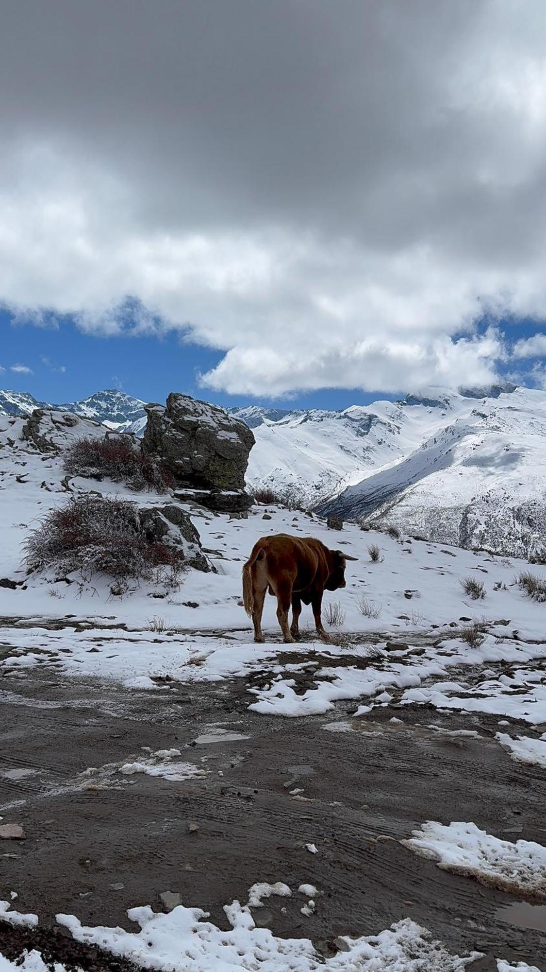 Casa A La Vera De La Sierra Guejar Sierra Exterior foto